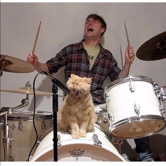 Meet your Posher, Teresa - Picture 15 of 16